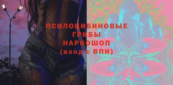 a pvp Белокуриха