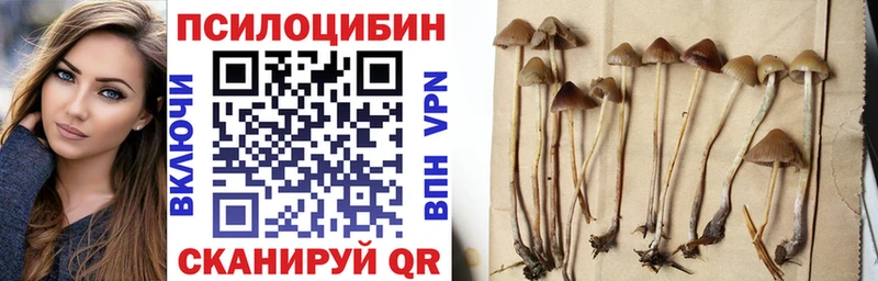 Псилоцибиновые грибы ЛСД Мглин
